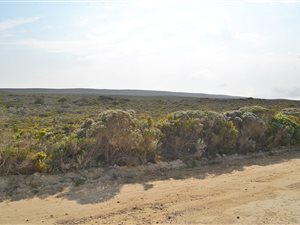 606 m² Land available in Suiderstrand