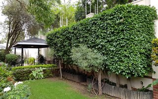 3 Bedroom Apartment in Melrose North