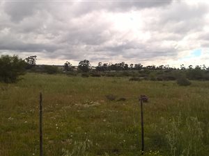 2.1 ha Farm in Hopefield