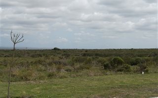 1653 m² Land available in Fountains Estate