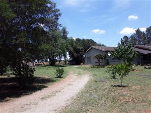 2 ha Farm in Ophir AH