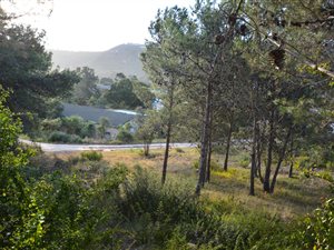952 m² Land available in Upper Robberg