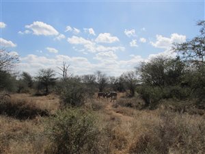 400 m² Land available in Thabazimbi
