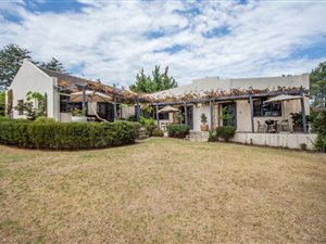 9 Bed House in Helena Heights