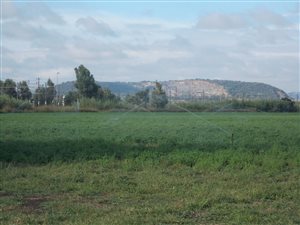 14 ha Farm in Honingnestkrans
