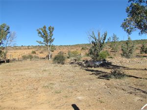 5035 m² Land available in Alicedale