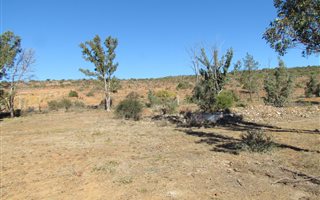 5035 m² Land available in Alicedale