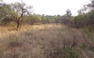 968 m² Land available in Kameeldrift