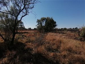 6 ha Farm in Mafikeng