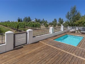 4 Bed House in Croydon Vineyard Estate