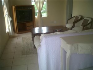 Bachelor apartment in Somerset Park