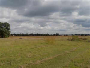 7.4 ha Land available in Carletonville