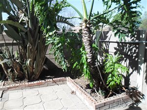 2 Bed House in Birchleigh