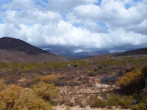 4000 ha Farm in Oudtshoorn