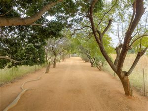 8 ha Farm in Bultfontein AH