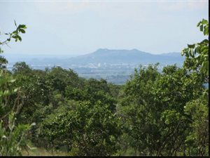 21 ha Farm in Zandfontein AH