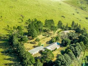 13.5 ha Farm in Manderston