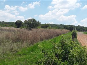 56 ha Farm in Boschkop