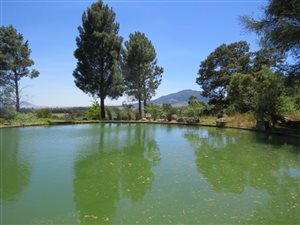 9 ha Farm in Wellington Central
