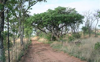 72 ha Land available in Boekenhoutskloof and surrounds