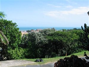 1100 m² Land available in Zinkwazi Beach