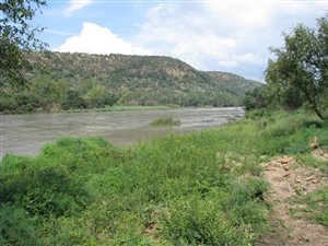 216 ha Farm in Vredefort