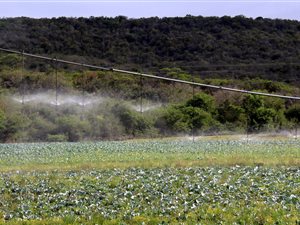 545 ha Farm in Komga