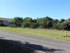 837 m² Land available in Cintsa