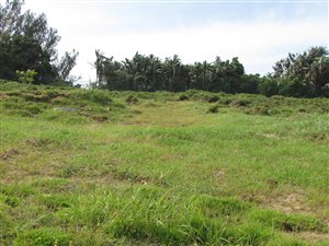 885 m² Land available in Sheffield Beach