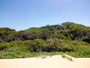 895 m² Land available in Cannon Rocks