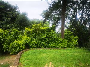 8500 m² Land available in Claridge