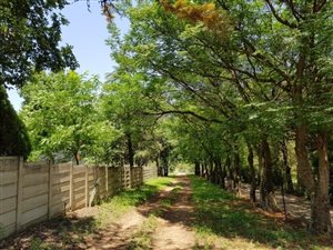 8565 m² Land available in Chartwell