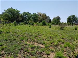 8565 m² Land available in Chartwell
