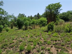 8565 m² Land available in Chartwell