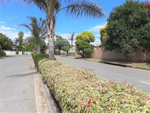 3 Bed House in Northwold Gardens
