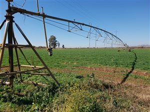 65 ha Farm in Brits