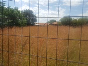 1096 m² Land available in Riversdale