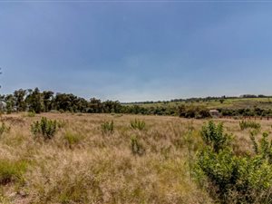 4.9 ha Farm in Lanseria and surrounds