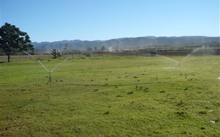 8.8 ha Farm in Uitenhage Central
