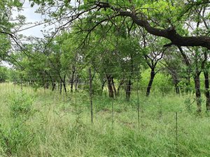 8 ha Farm in Rooiberg