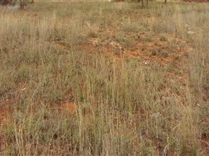 402 m² Land available in Bendor