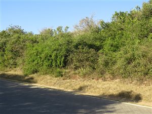 4730 m² Land available in Bathurst and Surrounds