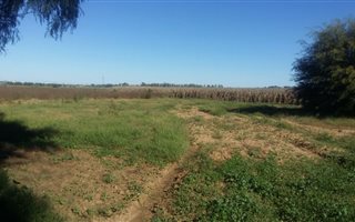 22.9 ha Land available in Zastron