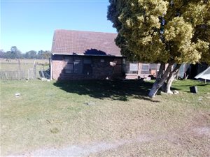 9.7 ha Farm in Port Elizabeth Central
