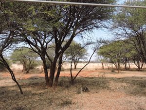 317.6 ha Farm in Zeerust