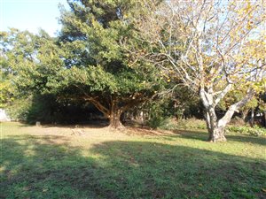 1369 m² Land available in Golden Acre