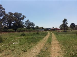 1.3 ha Land available in Eveleigh