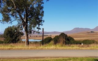 55 ha Farm in Kokstad