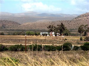 1 ha Land available in Willowmore