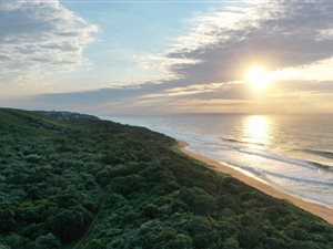 981 m² Land available in Blythedale Beach